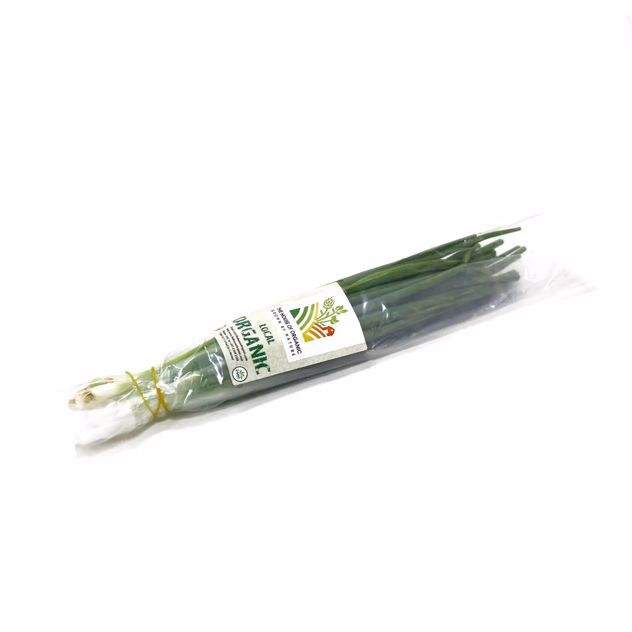 Organic Spring Onion 100g UAE
